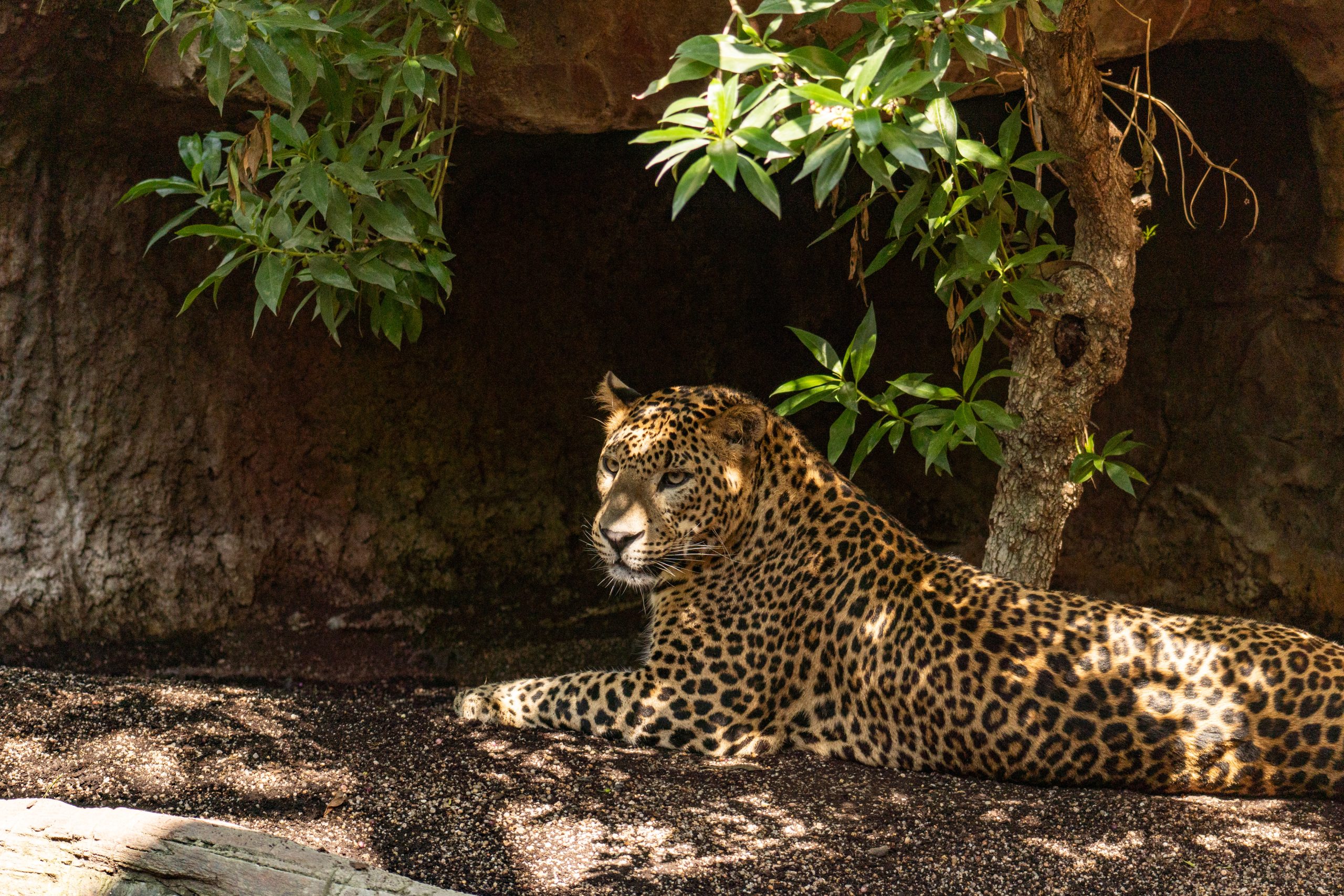 BIOPARC Fuengirola