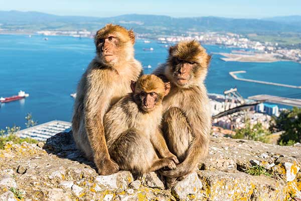 Gibraltar